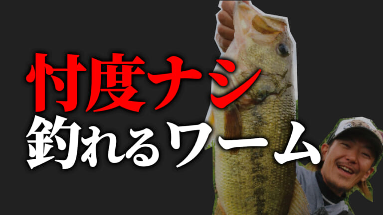 メーカー忖度なしで本当に釣れるワームはあるのか？サイズ狙いも数釣りもどっちもイケる10選