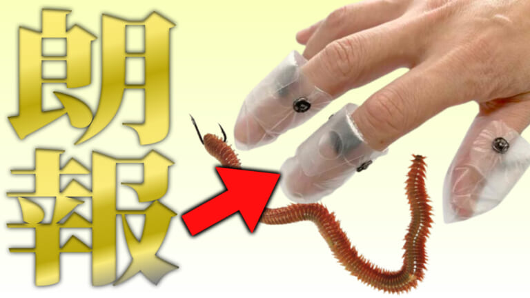 《その手があったか》虫を触れない人は歓喜！着脱簡単フィンガーシェルが超オススメ。