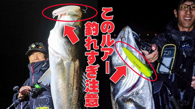ゆっくり巻くだけ」でどこでも釣れる！話題のシーバス用ウェイク