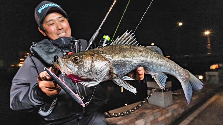 シマノ(SHIMANO) エクスセンス S900L/F-S -Solid Chaser- ○完売