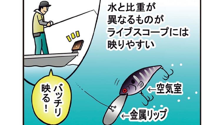 ｜【ライブサイト入門】写しやすいルアーやよく釣れるルアーを紹介！【原理も覚えておこう！】