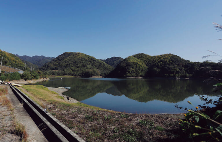 全国エリアバス大調査「桜池管理釣場」