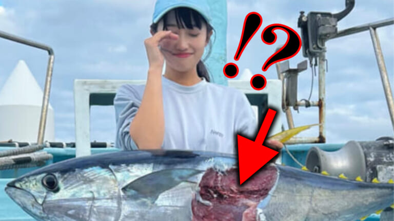［ヒドい…］釣ったマグロが無惨な姿に！理不尽な結果に美女が大泣き。犯人はやはり…