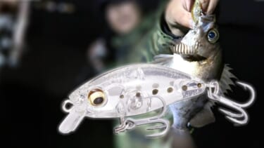 編集部員も愛用！】 確かな釣果を叩き出す「メガバス