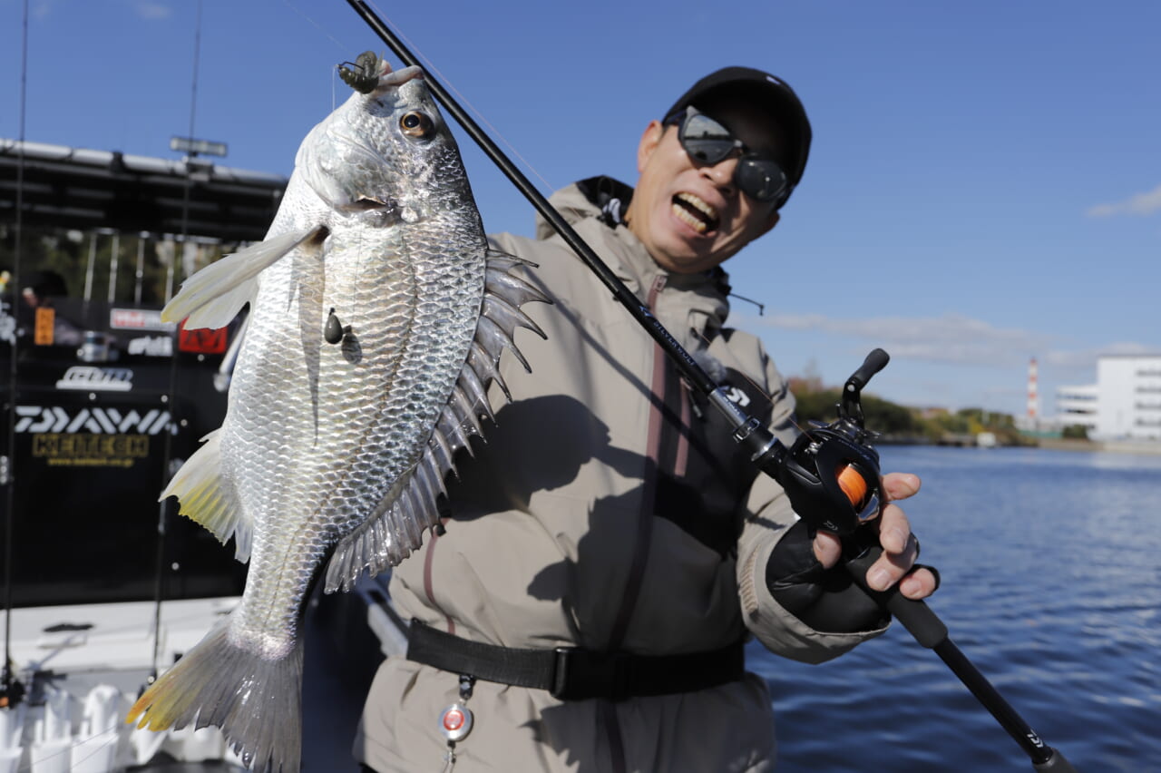 【超極強最強】シルバーリーフ ココスヤシ ブラヘア アルマータ 超シルバーリーフの希少種 “ブラヘア・アルマータ” - 所沢の