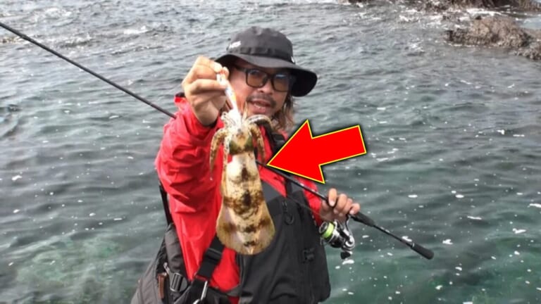 強いアタリを感じ、上げてくるとそこには…？ 鹿児島の磯を駆け回るランガンエギング！