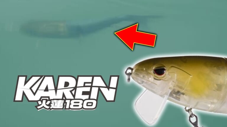 「ソフト素材のハイブリットは釣れるよね」バスの理性を破壊する「カレン180」