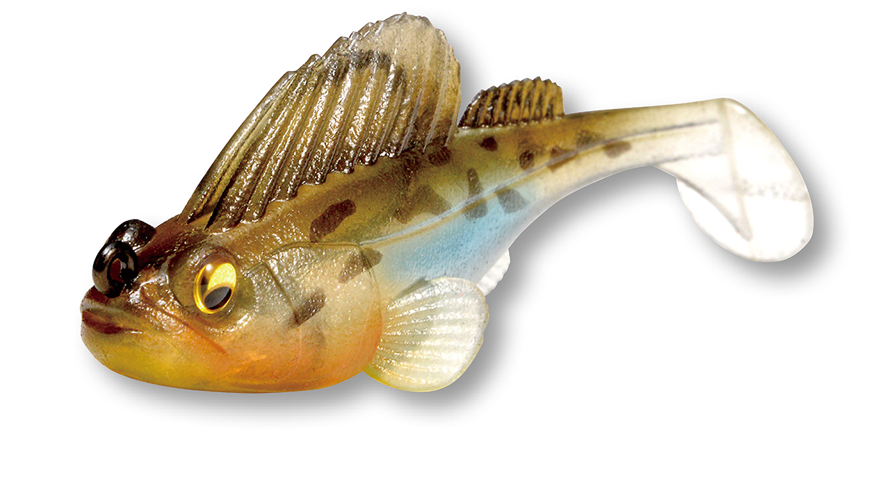 ｜【初心者必見】バスがとにかくたくさん釣りたいなら秋の管釣りがおススメ！イチオシルアー14選