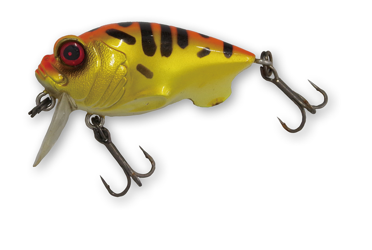 ｜【初心者必見】バスがとにかくたくさん釣りたいなら秋の管釣りがおススメ！イチオシルアー14選