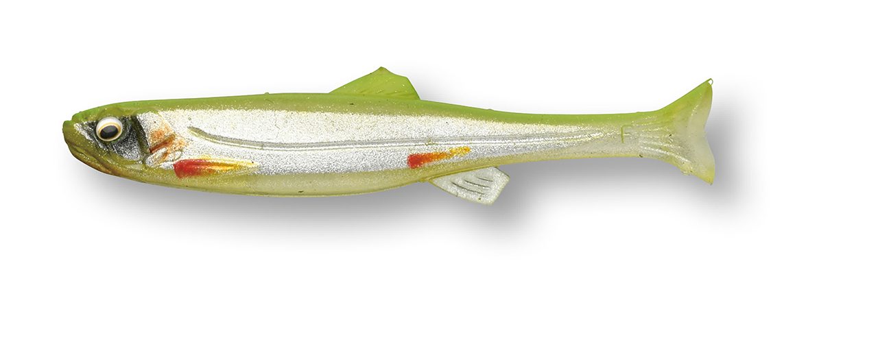 ｜【初心者必見】バスがとにかくたくさん釣りたいなら秋の管釣りがおススメ！イチオシルアー14選