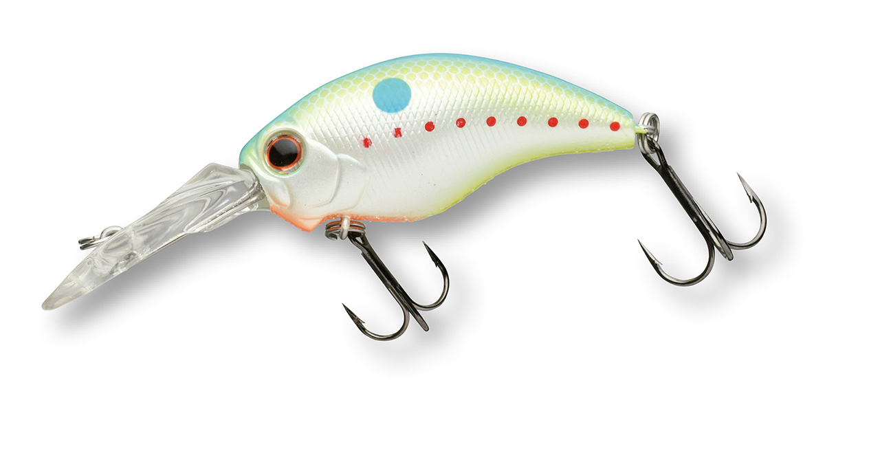 ｜【初心者必見】バスがとにかくたくさん釣りたいなら秋の管釣りがおススメ！イチオシルアー14選