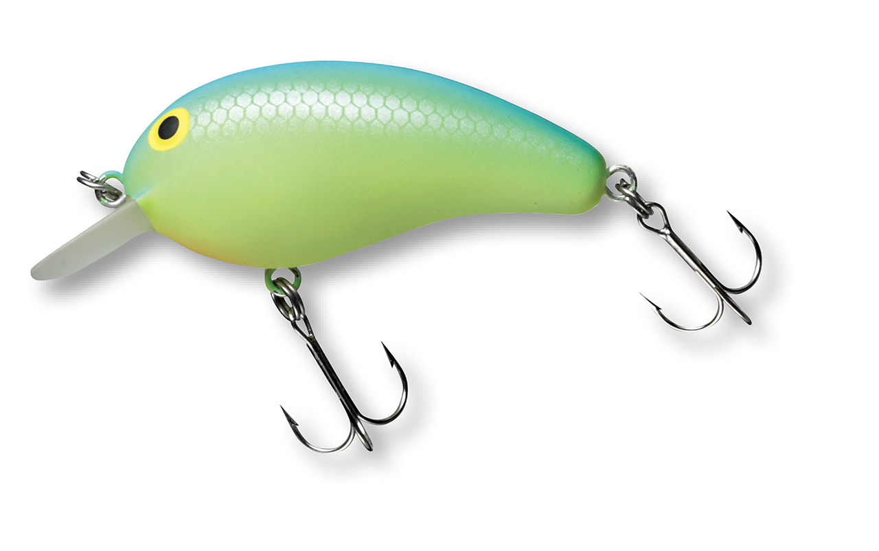 ｜【初心者必見】バスがとにかくたくさん釣りたいなら秋の管釣りがおススメ！イチオシルアー14選