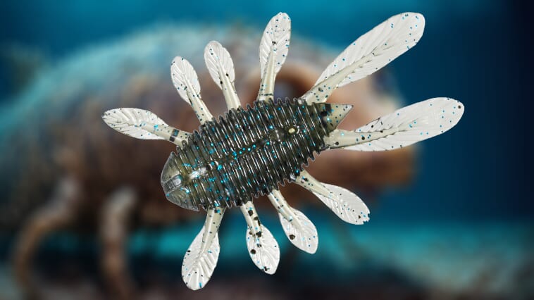 ｜【ピリピリ動く動画は必見】カンブリア期の生物にいそう！トレーラーに！定番リグに！ピリピリ動く『スティーズ アプナスバグ（DAIWA）』