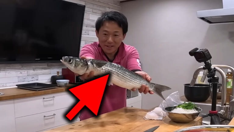 ［Youtuberドッキリ］猫またぎの魚をダマして食べさせたら「えっ やっぱり…」意外な反応に驚いた！