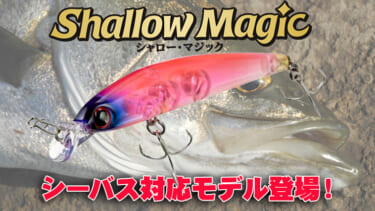 この魔法は釣果を導く！】コンパクトボディで飛距離と喰わせを