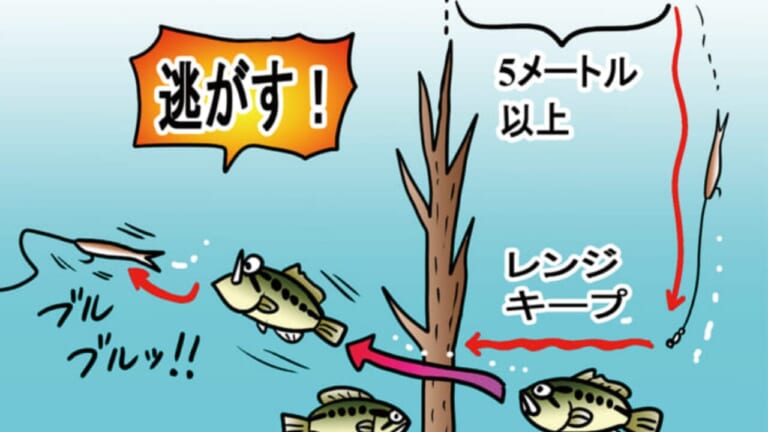 「基本的に”逃し”で食わせる」実は難易度が低いスイベルキャロは汎用性が高い。
