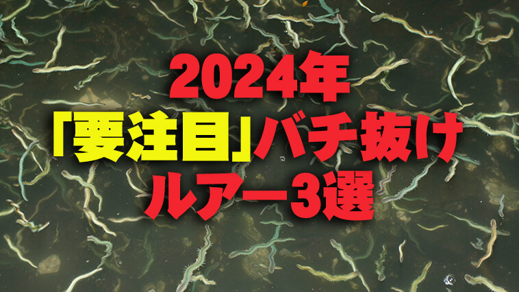 ｜【シーバス】最盛期突入！2024年度「要注目」の最新バチ抜けシーバスルアー3アイテムをご紹介！