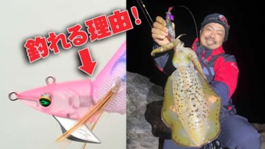 こりゃ欲しくなるわ…】品切れ続出のエギングロッド『24