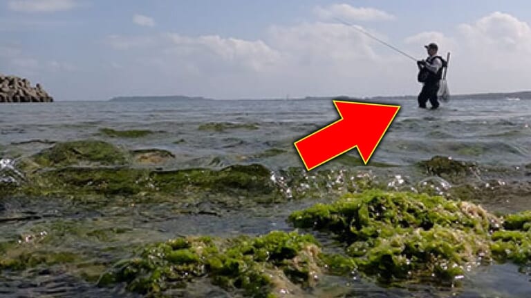 「タマン、オニカマス、ミナミマゴチ…」まさに名人芸。沖縄で多種多様な魚を釣り上げる男が上陸。