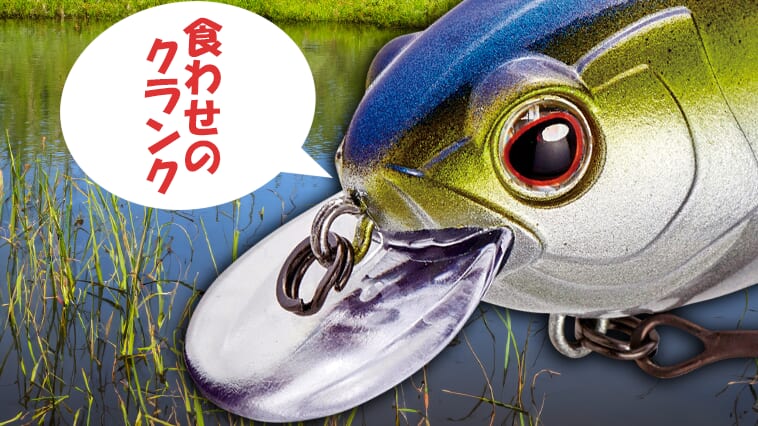 ｜専用ウエイト採用で安定感抜群！浅い場所で大活躍間違い無しの「食わせ」のクランク