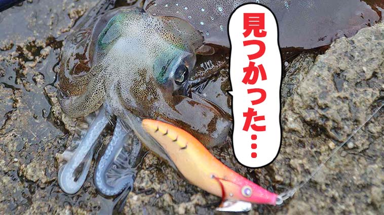 ｜【居場所見っけ！】アオリイカが釣れるポイントの探し方とは？【ヒロセマン解説エギング入門 Vol.2】