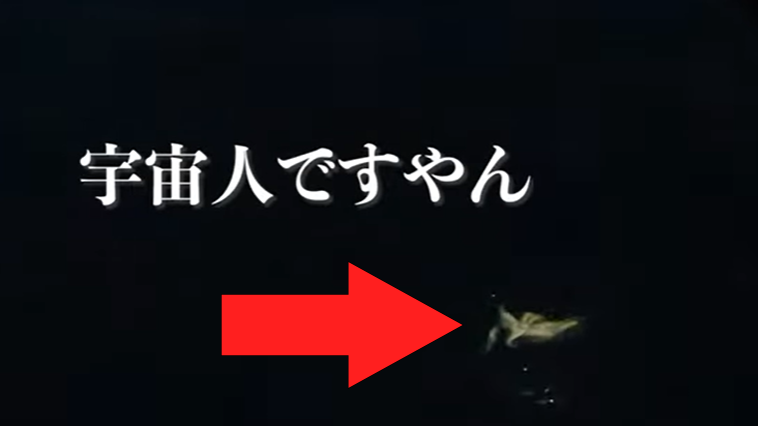 ｜4kg超えのモンスターはイカにして釣られたのか!?自己記録更新とそれを支えたラインの話