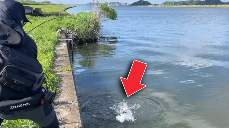 ｜6月の川バス攻略で「カギを握る」ベイトとは!? 遠賀川の達人が教える河川攻略3大ルアーをご紹介！ 