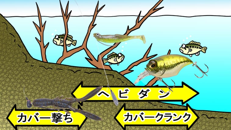 ｜3つの戦略でバスの居場所を突き止めろ！ メガバスルアーで攻める『シャローカーバー』