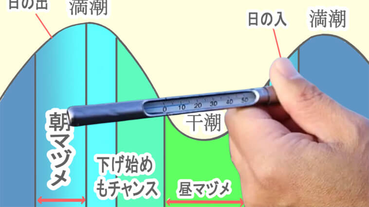 ｜【1日3回！】アオリイカが釣れやすい「時合」とは!? エギングのスペシャリストが徹底解説!!