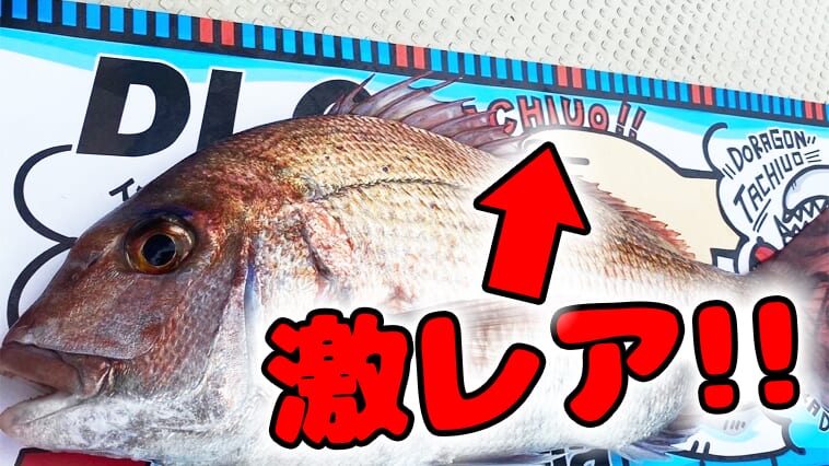 ｜【魚に優しく】入手困難注意!?可愛すぎるメジャーの入手方法をご紹介！【計測は厳しく！】