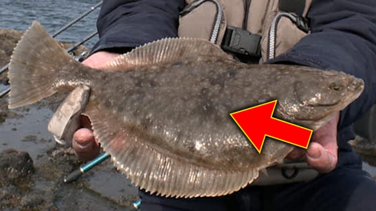 「マジかよ…」驚きの魚影に遭遇。天国・北海道で投釣りカレイに挑んだ結果…