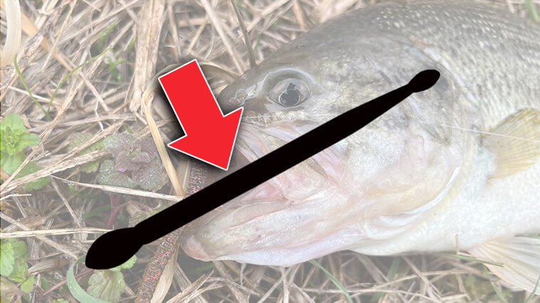 ｜【絶対持ってた方がいい！】簡単にハリ外し＆魚のダメージを軽減する「魔法のスティック」知ってる？？