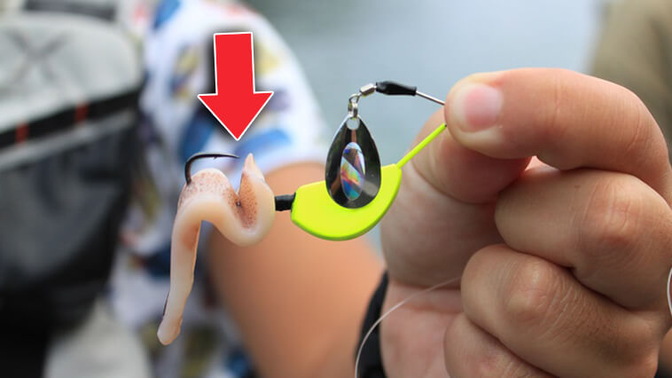 ｜【最強過ぎるやろ…】スピナーベイト+エサの究極の組み合わせ！『エサヘッド スピナベ（ハヤブサ）』