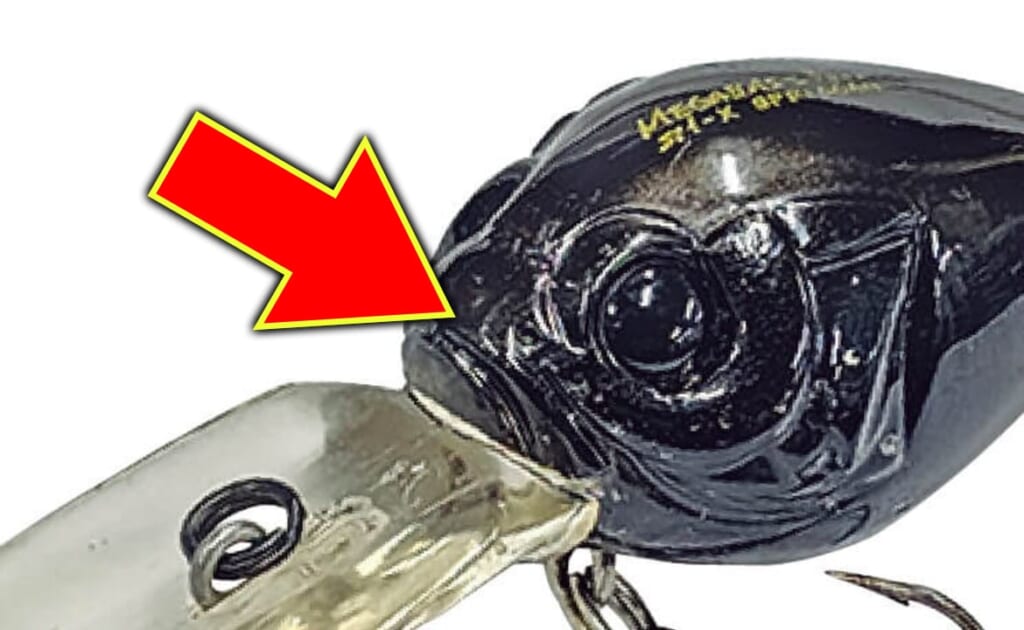 オカッパリで1日に2本ロクマルを釣りました」60cm超えブラック