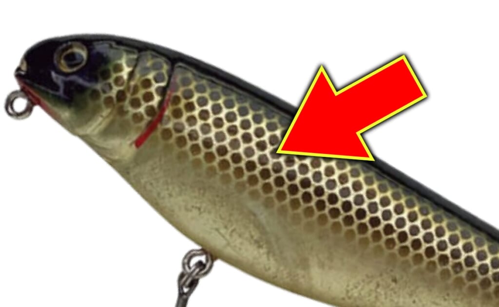 こいつを日本で最初に投げたのはオレやね。ロクマルを釣ったのも
