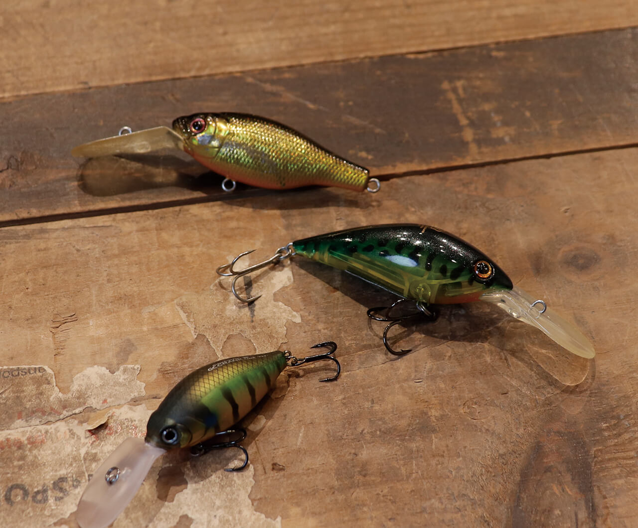 |懐かしの写真や思い入れのルアーまで!奥村和正と村上晴彦が語る琵琶湖愛