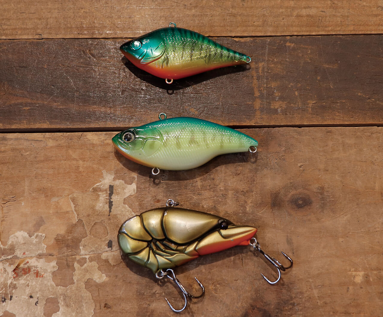 |懐かしの写真や思い入れのルアーまで!奥村和正と村上晴彦が語る琵琶湖愛