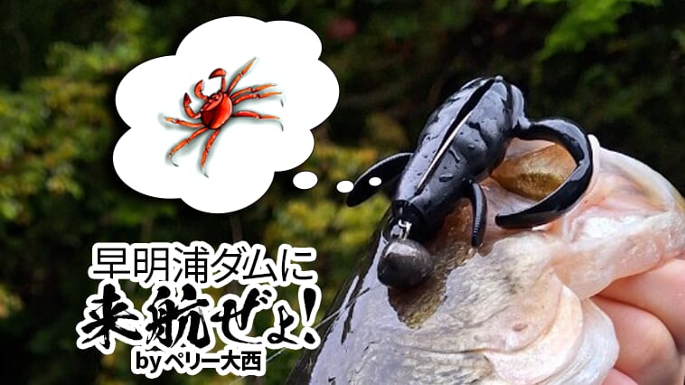 ｜【カエル？いいえカニです!】流行必至!? カニ食いバスに効く『スクーパーカニー』を大公開!!【早明浦ダムに来航ぜょ！】