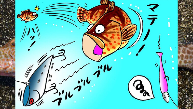 ｜【マジで効くの!?】魚食性のハタには「ハードルアー」が効果抜群！ロックフィッシュの第一人者が徹底解説!!