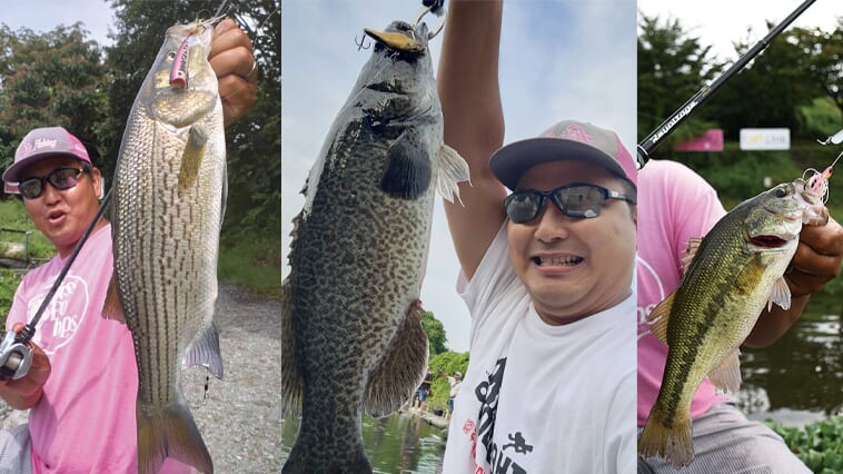 ｜【爆釣の予感!?】まさかの3魚種放流！ラージマウス、ストライパー、マーレーのトリプル放流がアツい!!【宮城アングラーズヴィレッジ】