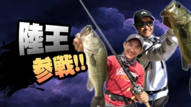 ハイコスパ過ぎるだろ…】サワラキャスティングからジギングまで ハイコスパ過ぎるだろ…】サワラキャスティングからジギングまで