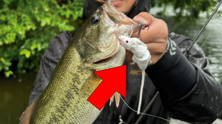 ｜【ナンじゃこりゃ!?】不気味なほどリアルなルアーから本物そっくりの魚型ルアーまで実際に泳がせてみたら以外な結果が【サベージギア】
