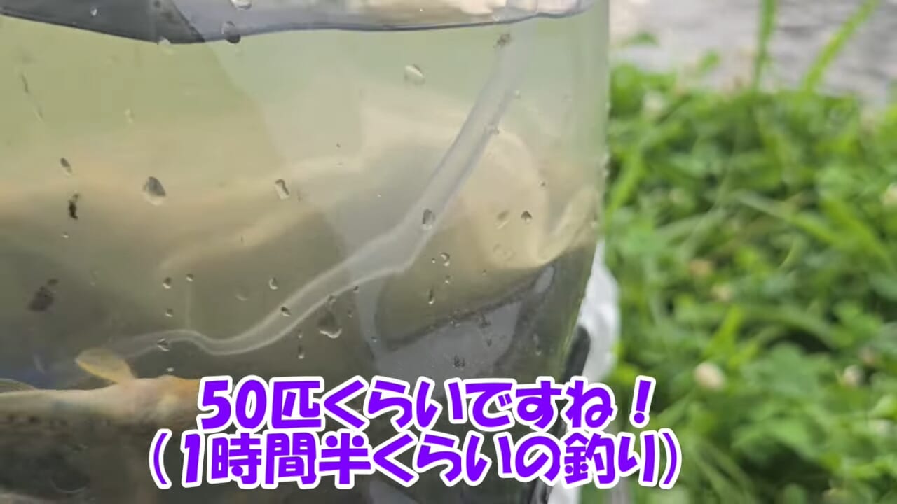 ｜「…凄いよ、見て」「いいね」最強の釣りエサは生ハムって本当？ マジだった…