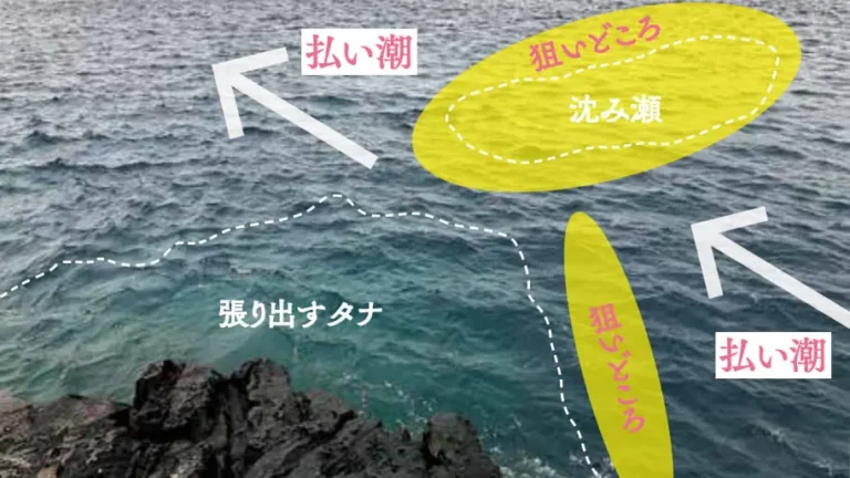 【知っておけばもっと釣れる!?】釣果を伸ばすために知っておきたい「払い潮」ってなんだ？