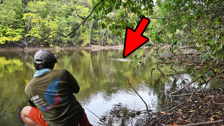 ［ドバババババーンッ！出た〜！］世界最大級の淡水魚！南米ジャングルの奥地で出会った奇跡の瞬間がヤバすぎる！