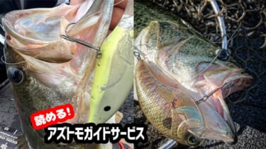 ショアから「夢」を掴む究極のロッドが間もなく発売!!『コルト