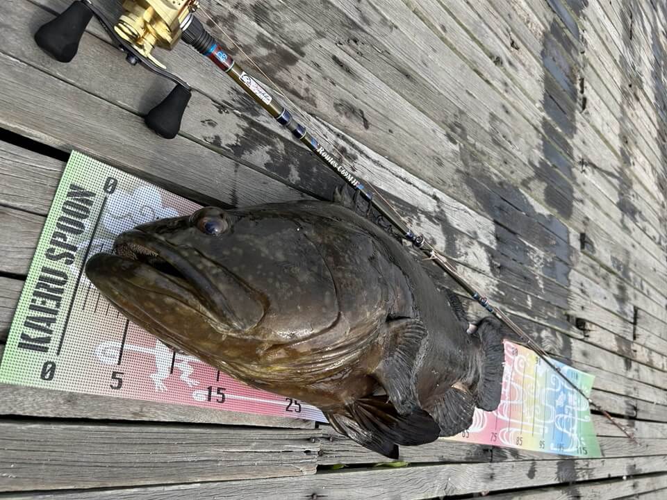 ｜「デカくない!?」「10kg超えてるよ！」釣り堀でまさかの魚がヒット！釣り人もビックリの巨大魚の正体。