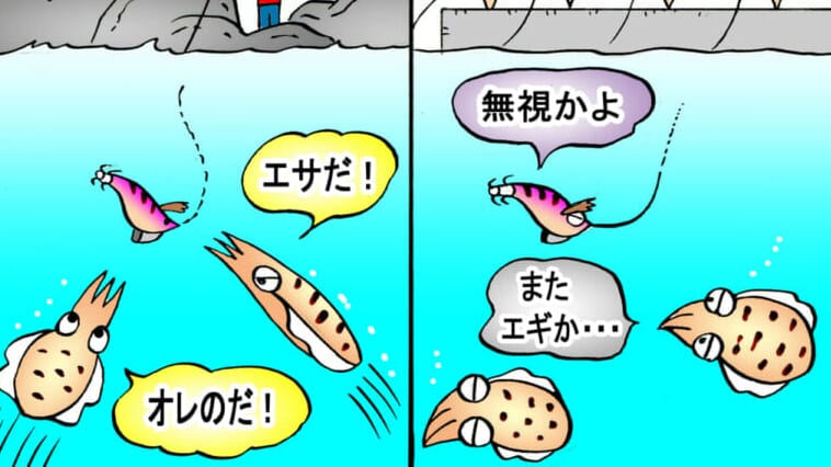｜秋イカ釣りで自分だけいい思いができる!?『マイナースポット』を見つけるための4か条