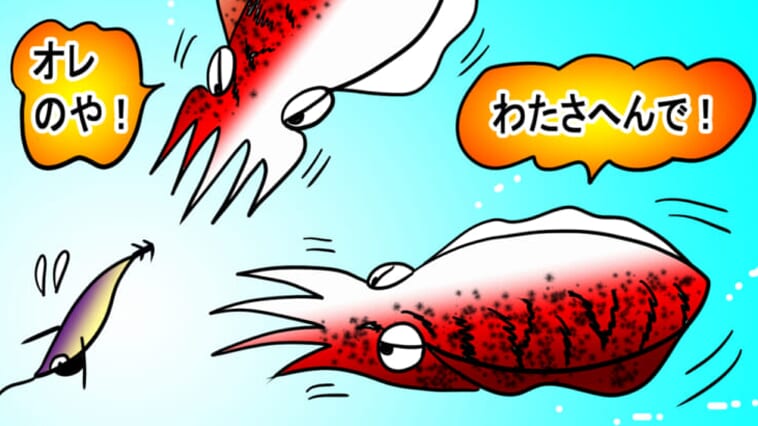 【イカって面白!!】縦半分で違う色に変化!? 仲間の墨で警戒!?