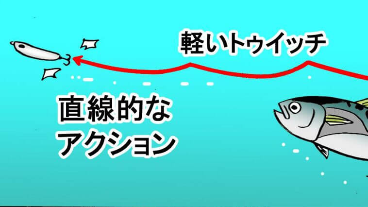 【知ってるとお得!?】チョンチョンとした動きや直線的な動きが好きな魚ってな～んだ